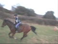 Me and Katie riding Cyril and China! Me and Katie riding Cyril and China!