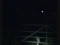 Lamping with Lurchers
