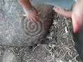 JADE ... ARQUEOLOGIA INFANTIL