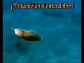 videos de OKI