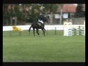Országos Bajnokság 2008, MORPHEUS Országos Bajnokság 2008, MORPHEUS