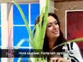 programa mulheres   horta  semi orgânica parte 3 de 4