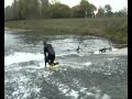 the river taff experience