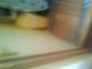 Ritchie Locked Himself In The Bathroom =] HAHA