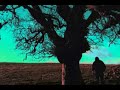 Music Video