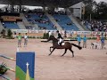 Rio 2007 - Hipismo