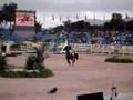 Rio 2007 - Hipismo