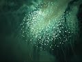 Pyromachina 2008 Krak�w - LUSO PIROTECNIA - Portugalia