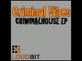 Criminal Vibes - La Voca (Original Mix)