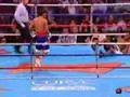 Melhores Nocaute do Boxe