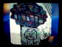 vandal arrested.