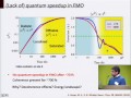 Quantum Mechanics of Photosynthetic Light Harvesting Machinery (Google Workshop on Quantum Biology)