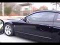 2003-SVT-Mustang-Cob