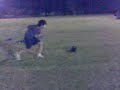 Professional High Jumper