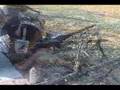 AR15.com Machine Gun Shoot