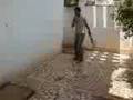 funny cricket