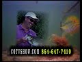 Bass Fishing Guide