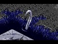 or why the speech pack is not exactly a bright idea at times. avatar meets hydros... who's trapped here in a puddle in middle of a very dry lake... or something. i had to repeat the instructions - i had no idea what hydros says here. something about 