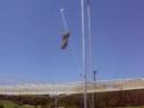 Viviane on the flying trapeze