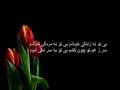 Fareeda Anwari (بی تو بسر نمی شود)