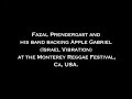 Fazal Prendergast and his band backing Apple Gabriel,