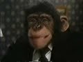 Monkey-Ed Movie: Men in Black