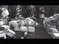 Idiot Box - Greg Kong VS Stonezilla Idiot Box - Greg Kong VS Stonezilla