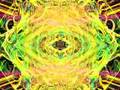 Widespread Panic Blight