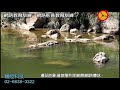 穎陞光碟--網路教育訓練 640X480