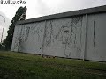spina
