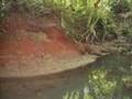 PALEONTOLOGICAL SITE ARROIO CANCELA
