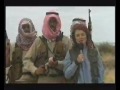News Report Funny