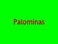 petardos callejeros multimedia Palomina petardos callejeros multimedia Palomina