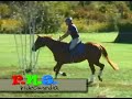 AEC EVENTING CHAMPIONSHIPS BEGINNER NOVICE COURSE 07 AEC EVENTING CHAMPIONSHIPS BEGINNER NOVICE COURSE 07