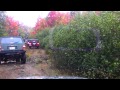 Video screenshot