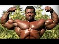 THE BEST ARMS EVER