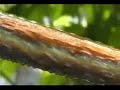 HHO torch, welding metal working