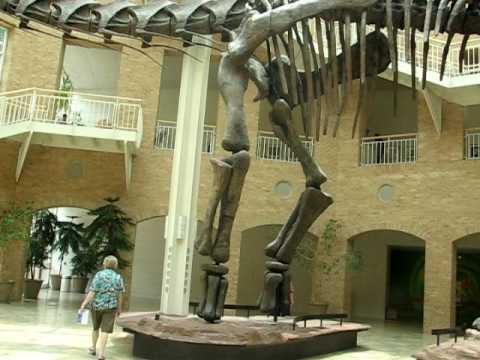 Argentinosaurus