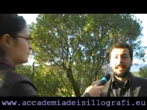 Immagine anteprima YouTube
