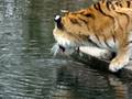 Tierpark Hellabrunn