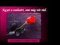 Rózsákkal Kedveskedem Neked! Rózsákkal Kedveskedem Neked!