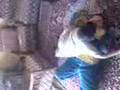 wrestling at home 3