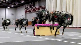 5 new technology 2016 military robots awesome robots