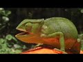 creeking and playboating compilation