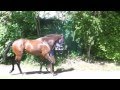 DK Racing Present Another Takeover