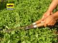 videos de Kaa heê