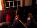 Girls Make out at Party