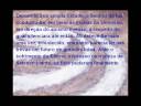 Celestial Angels 4 - 4.wmv Celestial Angels 4 - 4.wmv