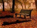 Vibrasphere - Autumn Lights (Alucard Remix)
