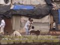 Gospel for Asia